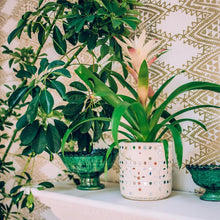 Load image into Gallery viewer, Ivory Mirrored Pots
